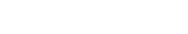 Maestri, LLC logo